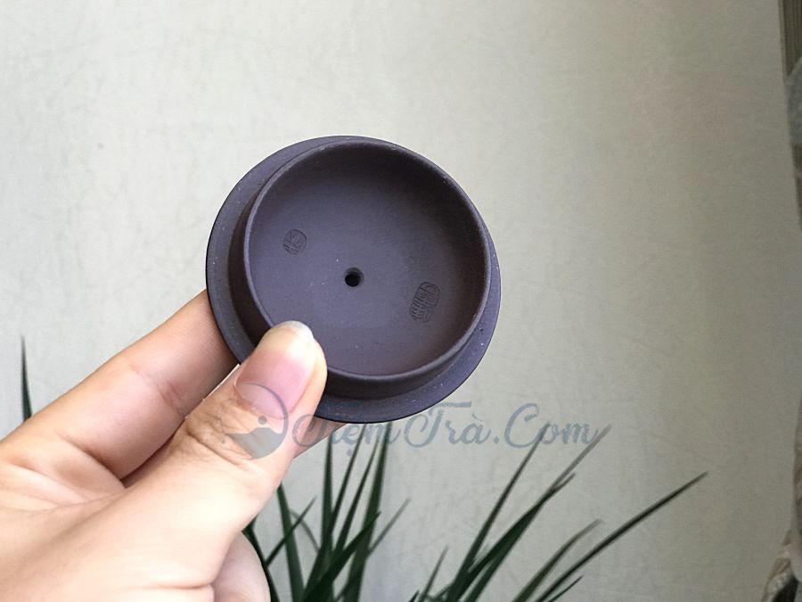 Ấm Tử Sa Thạch Biều Săn Mồi 210ml