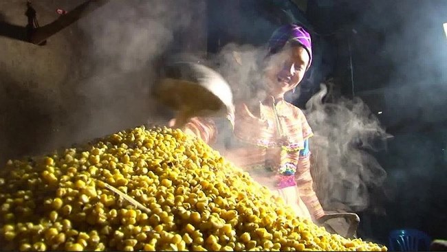 (5 lít) Rượu Ngô đặc sản Hà Giang