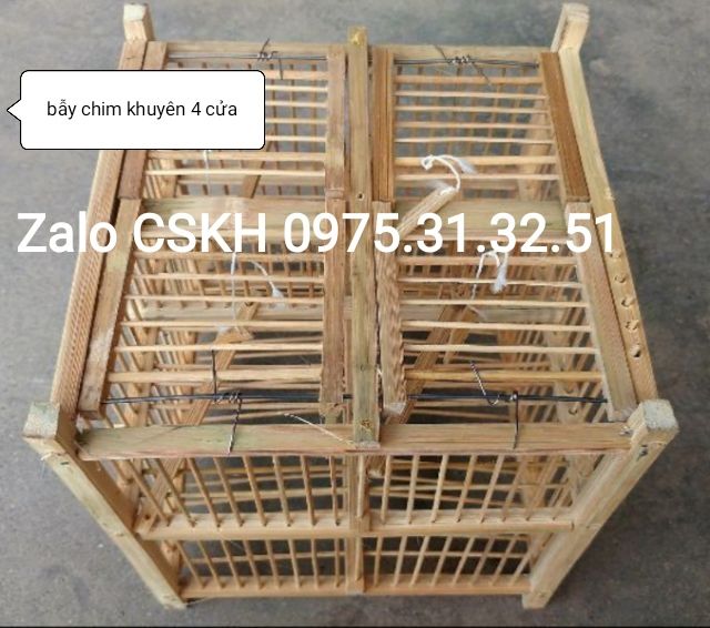 bẫy chim khuyên hút mật yến tre giá gốc