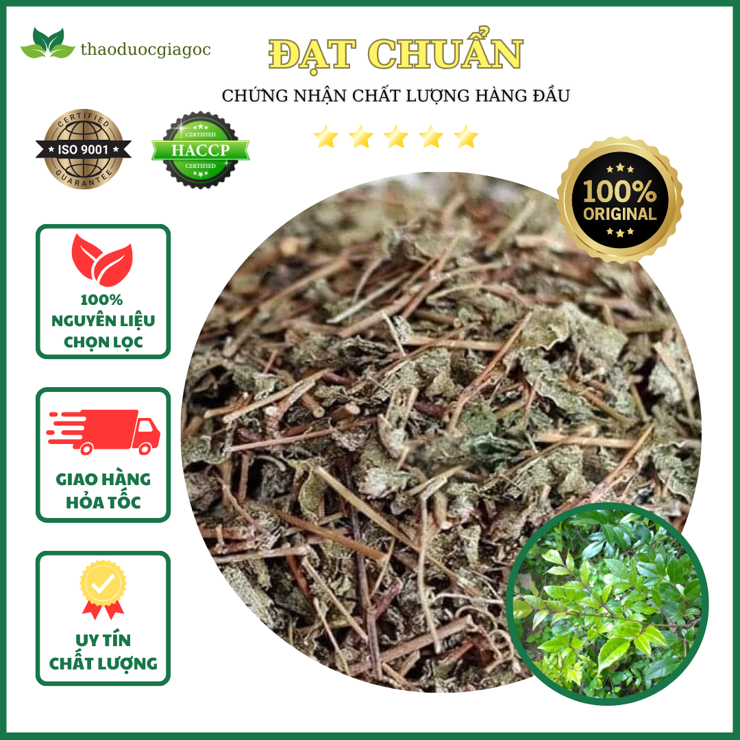 1kg Chè Dây khô Cao Bằng chhữa bệnh dạ dày .