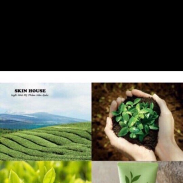 Sữa rửa mặt trà xanh Innisfree
