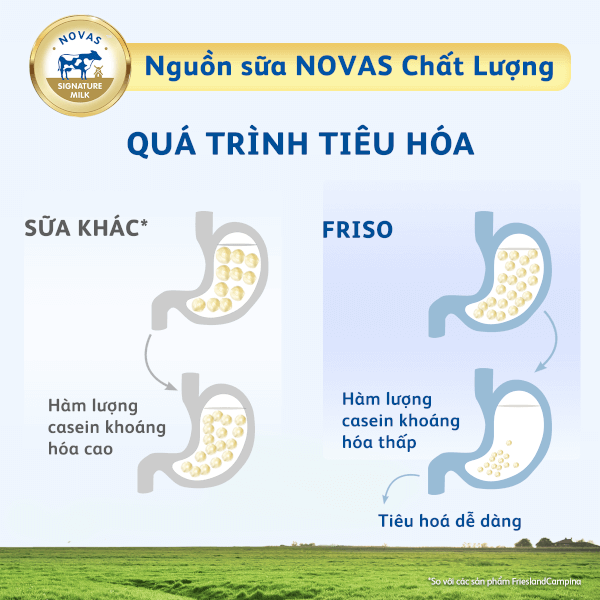 Sữa Frisolac Gold số 2 850g (6-12 tháng)