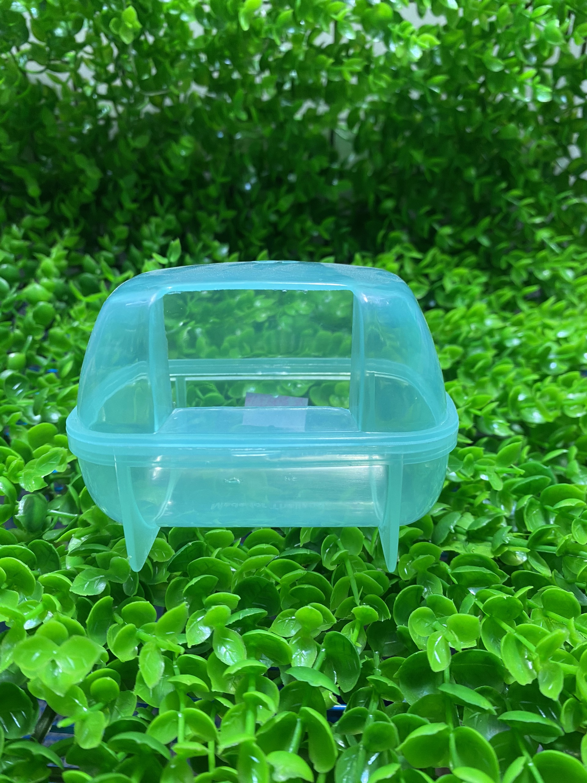Nhà tắm nhỏ cho hamster