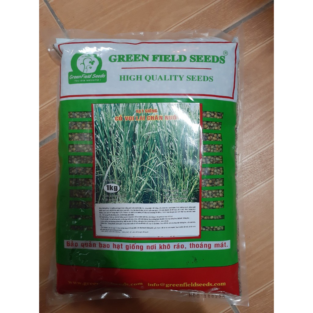 Hạt giống cỏ voi gói 1kg
