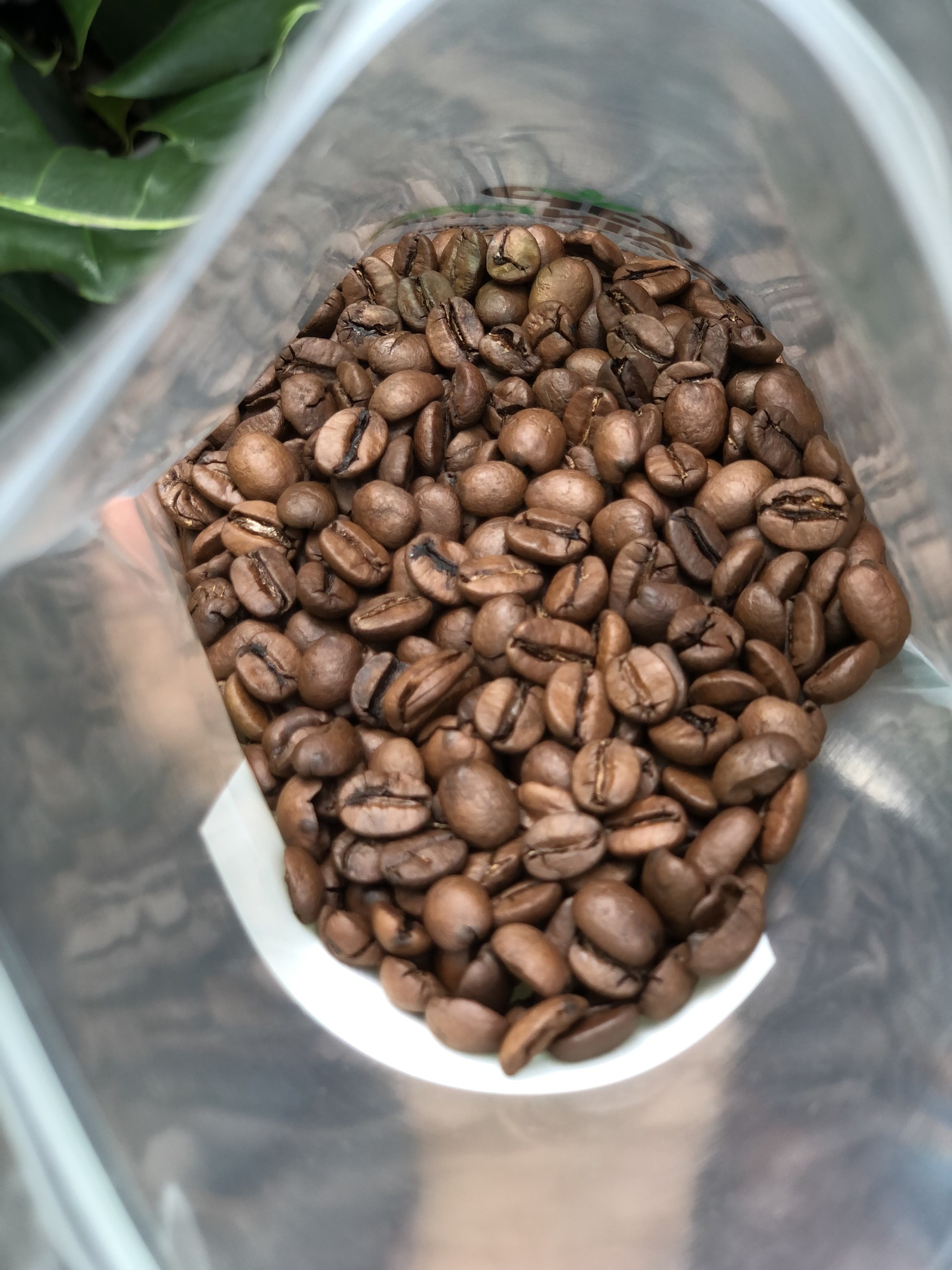 Cà Phê Brazil rang đậm vừa Arabica Espresso Santo Antonio Chocola - Stupiducks Specialty Coffee