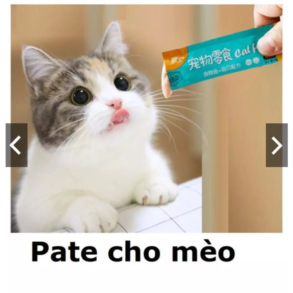 Pate thanh cho mèo Catfoo 15gr