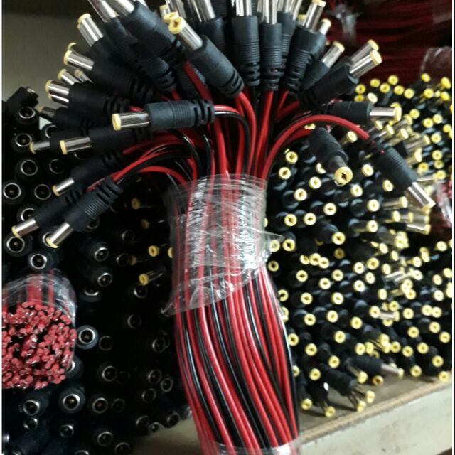 10 Bộ Rắc Đực Cái