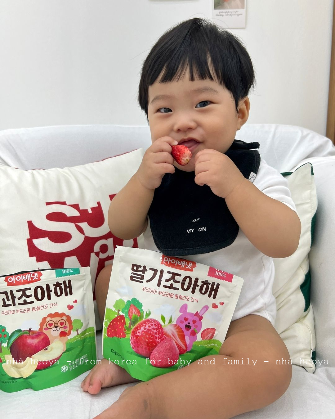 HOA QUẢ SẤY KHÔ IVENET GÓI 15G