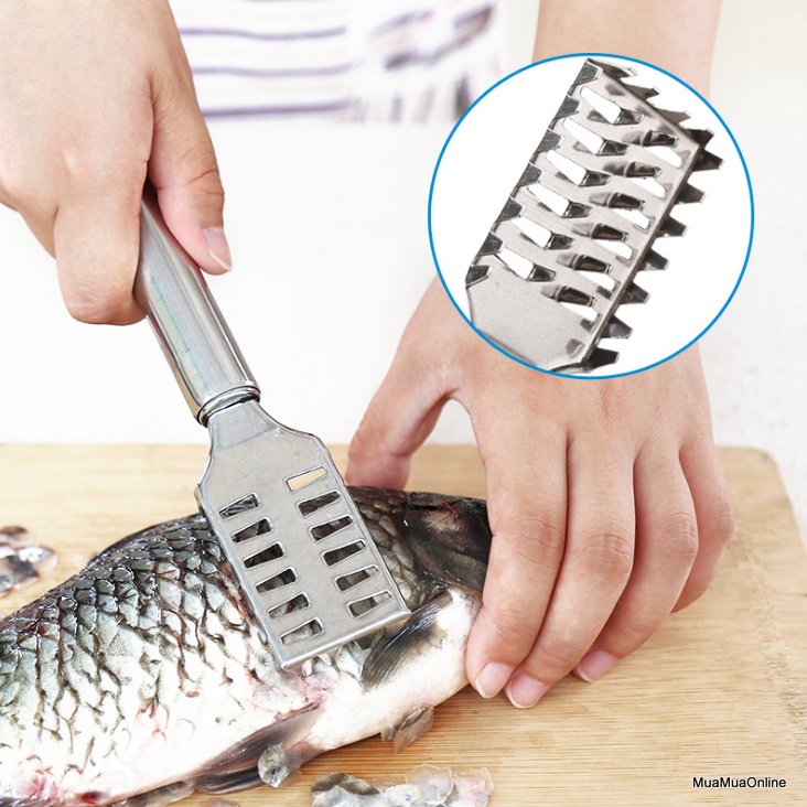 Dụng cụ inox đánh vảy cá siêu nhanh