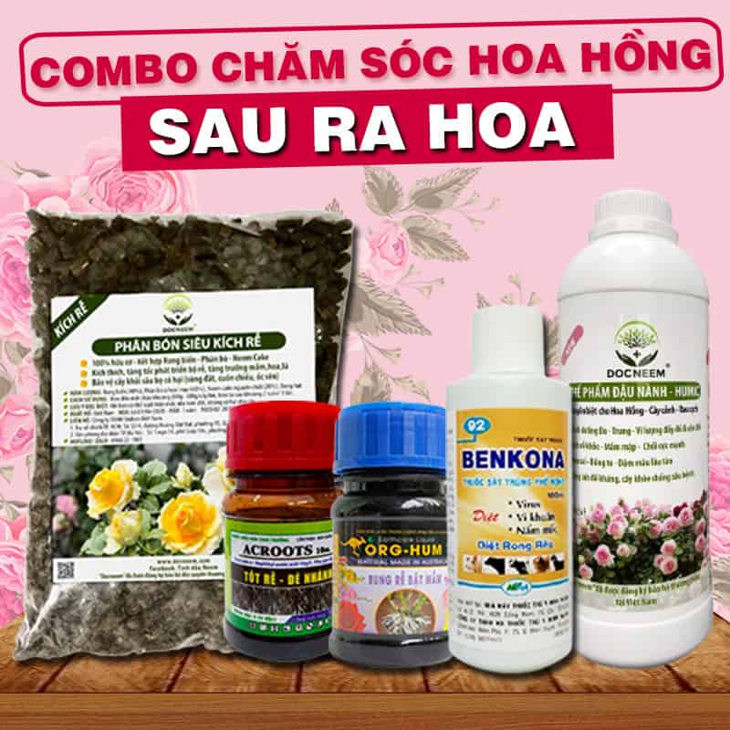 Combo Phân Bón Chăm Sóc Hoa Hồng Sau Ra Hoa