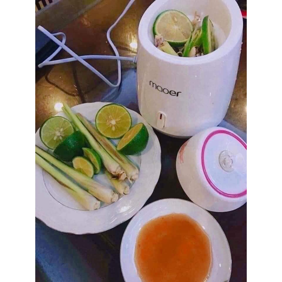 [ Dùng Thử ] Máy Xông Mặt HOA QUẢ TƯƠI MAOER .TTLV