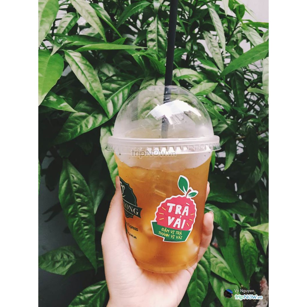 Trà Vải túi lọc Phúc Long