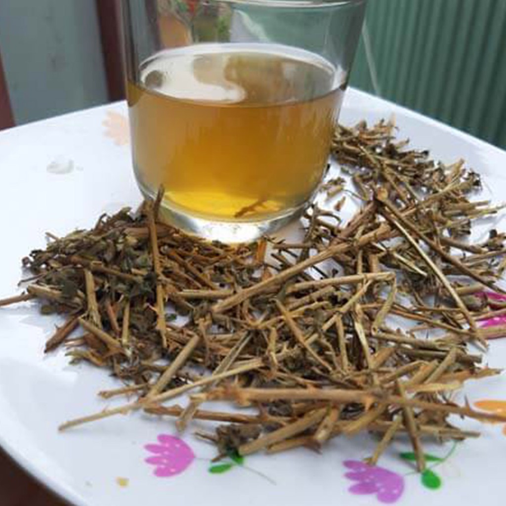 Cà gai leo 1kg