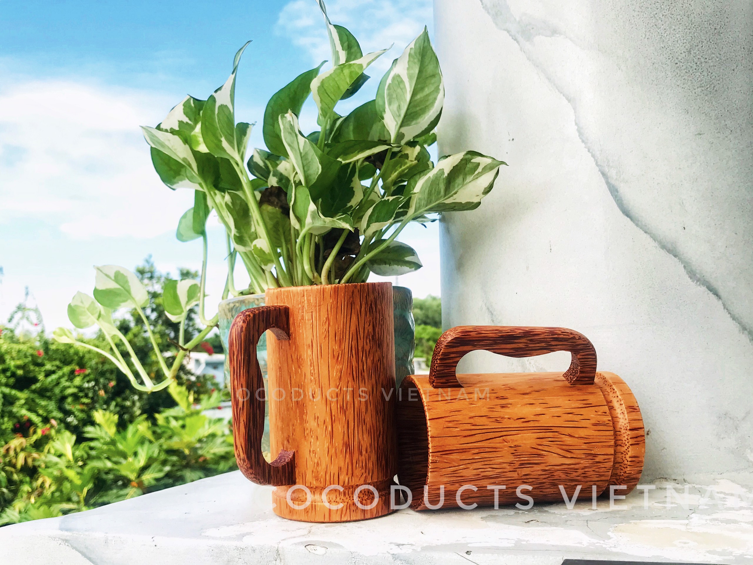 Ly uống nước gỗ dừa