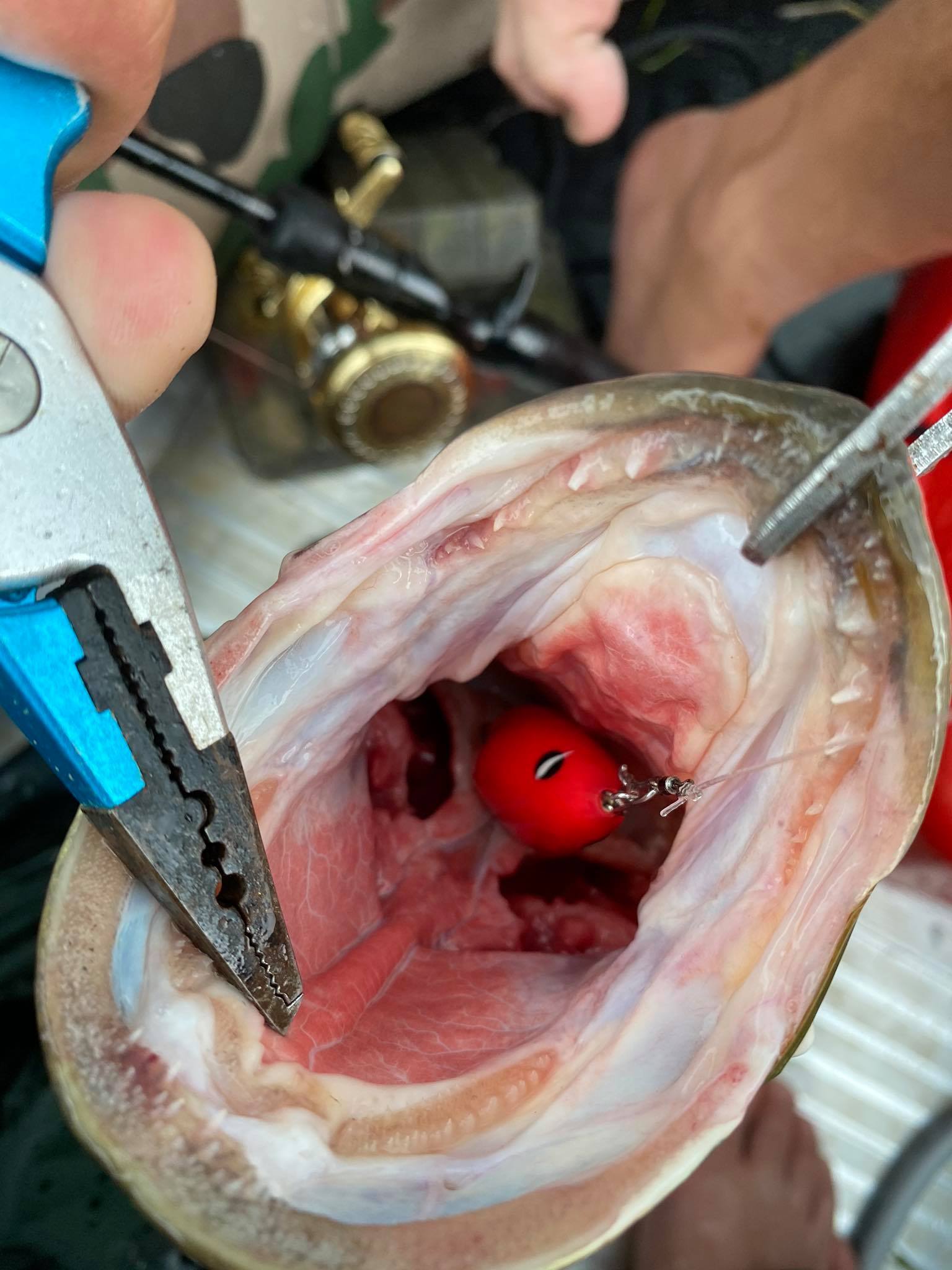 Mồi câu lure F35