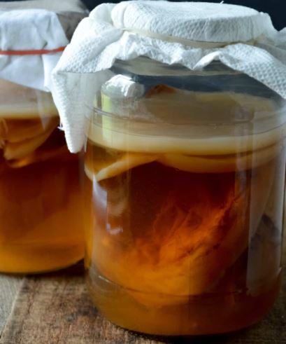 Scoby Kombucha