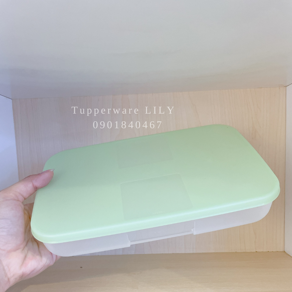 Hộp đông 650ml dẹp - Tupperware