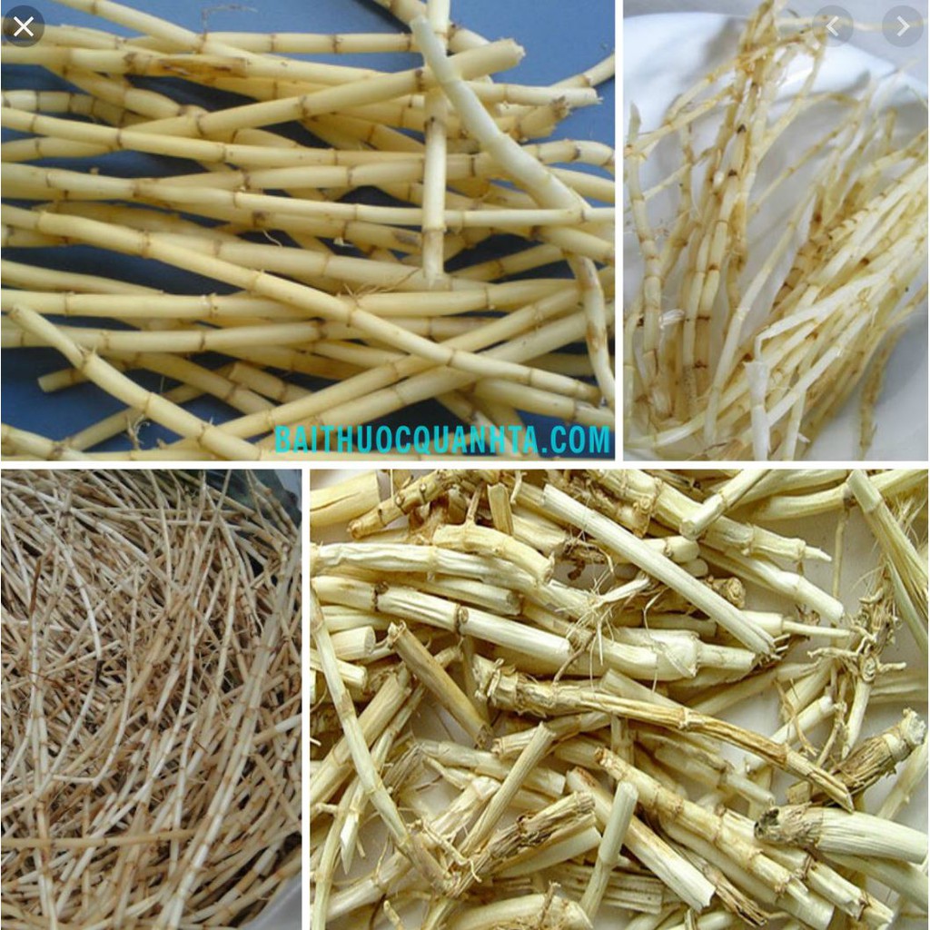 Rễ Cỏ Tranh ( 1kg)