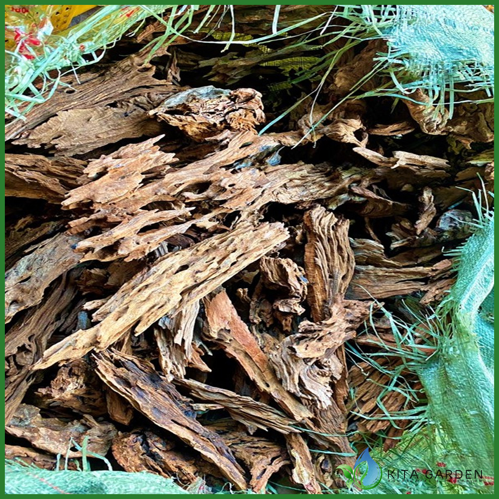 Lũa San Đá Cành (1KG) | Trang trí Thủy Sinh | Size To - Nhỏ