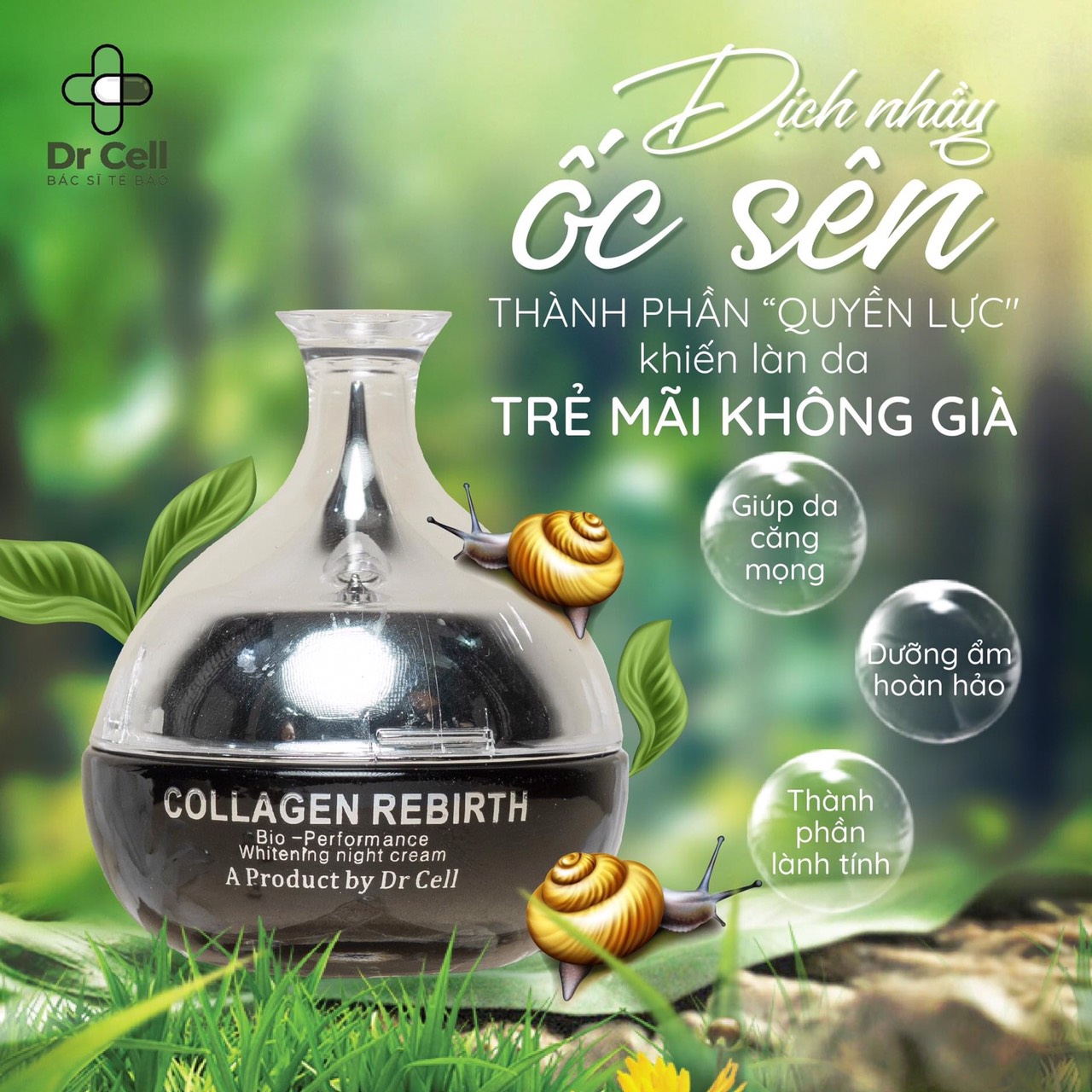 Kem Đêm Collagen Rebirth