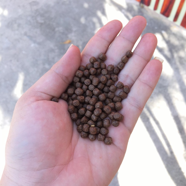 5KG Thức ăn cá cargill 7454 30% đạm