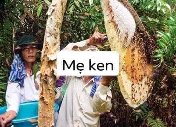MẬT ONG RỪNG NGUYÊN CHẤT MẸ KEN- 1 LÍT