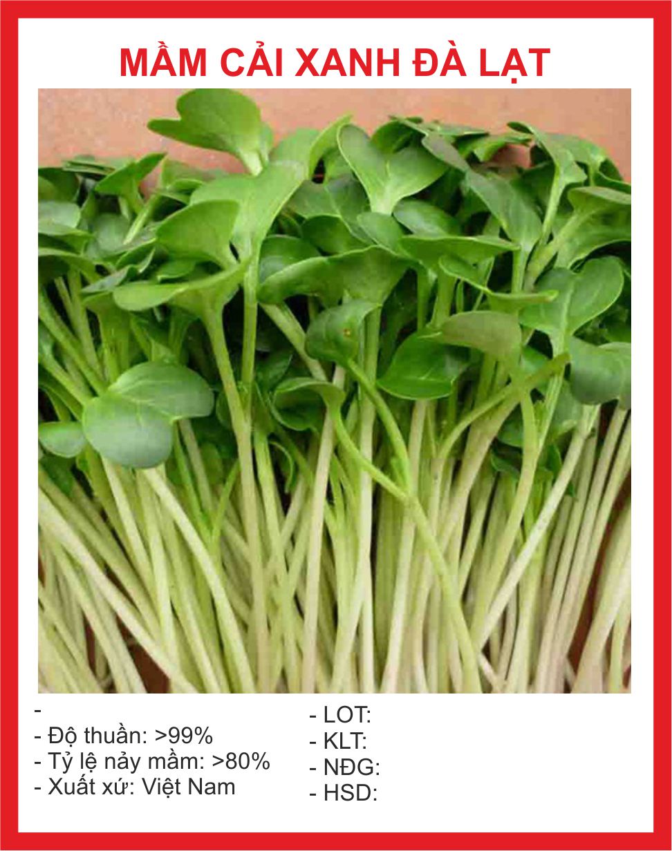 Hạt Giống Mầm Cải Xanh Đà Lạt 50gr