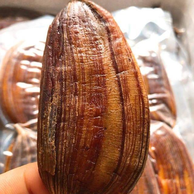 Gói 500gr Chuối hồng sấy dẻo thơm ngon hấp dẫn