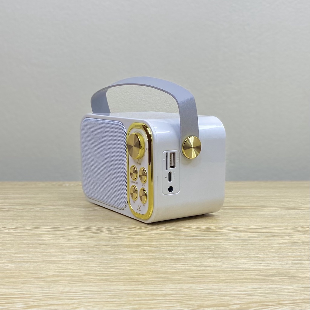 Loa Karaoke Bluetooth YS-103 Kèm 1 Micro Không Dây