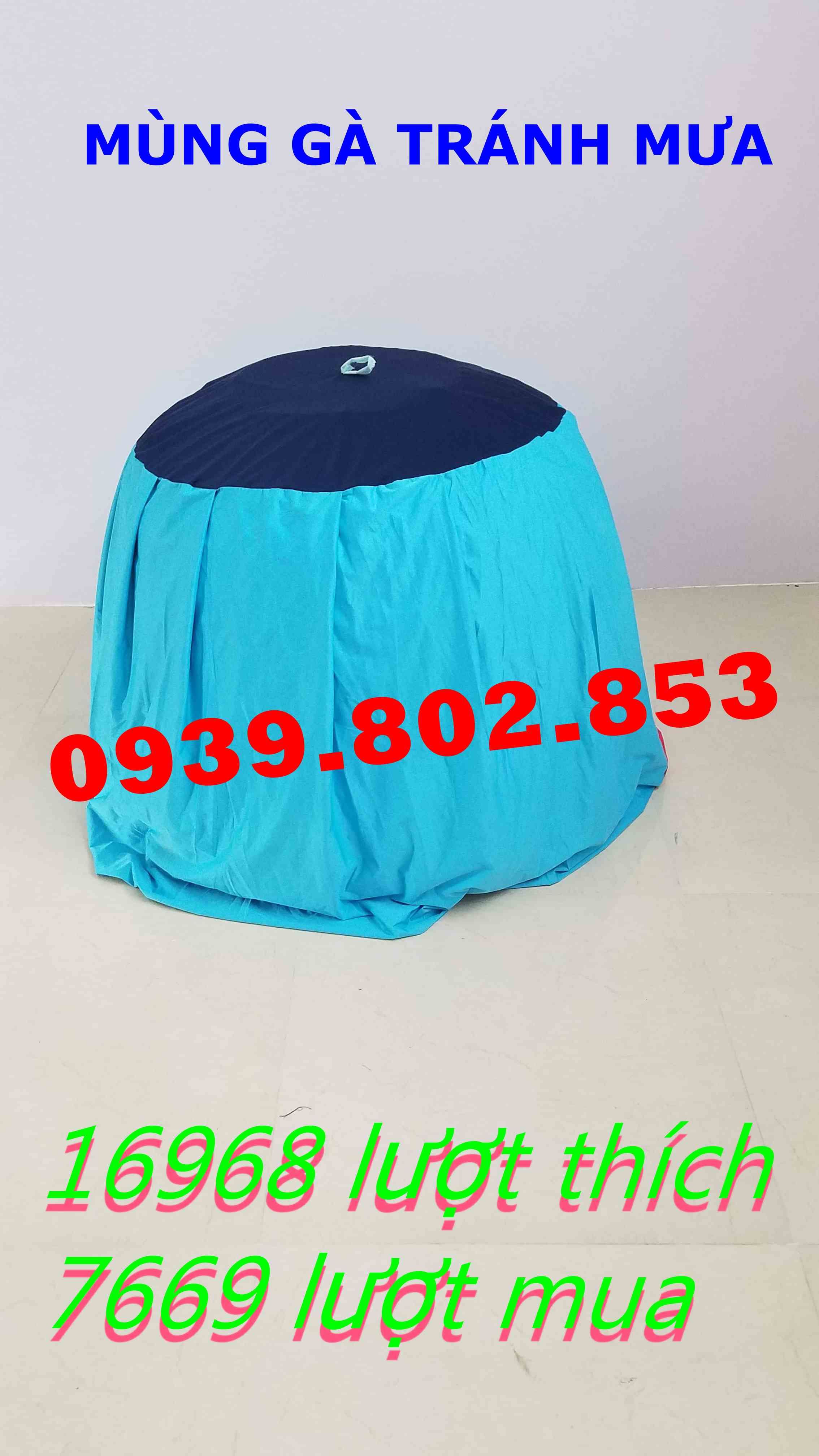 05 Mùng gà nòi tránh mưa
