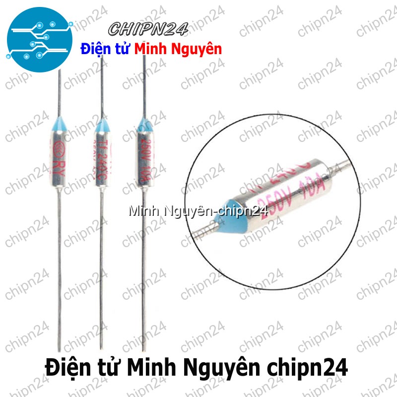[2 cái] (K453) Cầu chì nhiệt RY 169 độ 10A 250V (RY169 TF169) - HH004562
