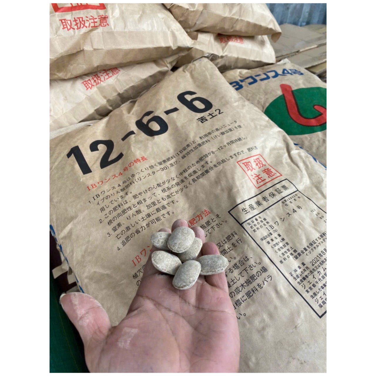 Phân tan chậm Hạt bàng Nhật Bản 12-6-6