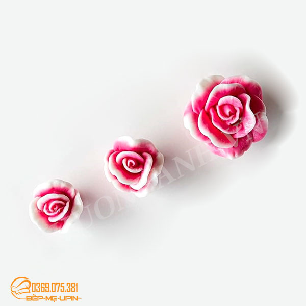 Combo 3 khuôn silicon hoa hồng mã D17 D18 D19