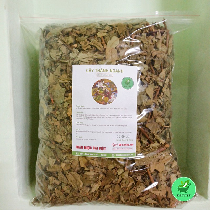 Cây thành ngạnh khô - Giúp tăng tuần hoàn não, ngừa xơ vữa động mạch