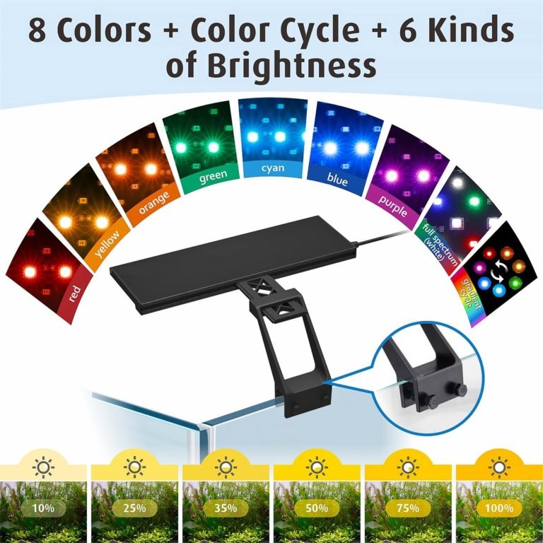 Đèn Led Thủy Sinh WRGB Skyled Timer V2