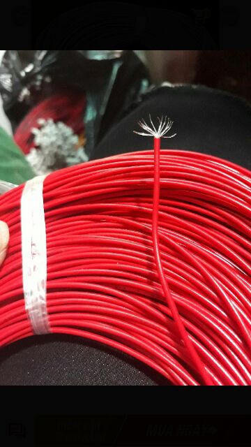 Dây Điện Nhật W22 100M