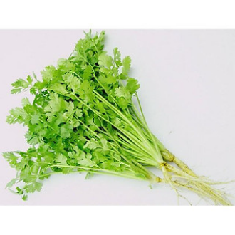 [HCM]Hạt Giống Ngò Hạt Nhỏ F1- Gói 20gram (Dễ trồng, nhanh thu hoạch)