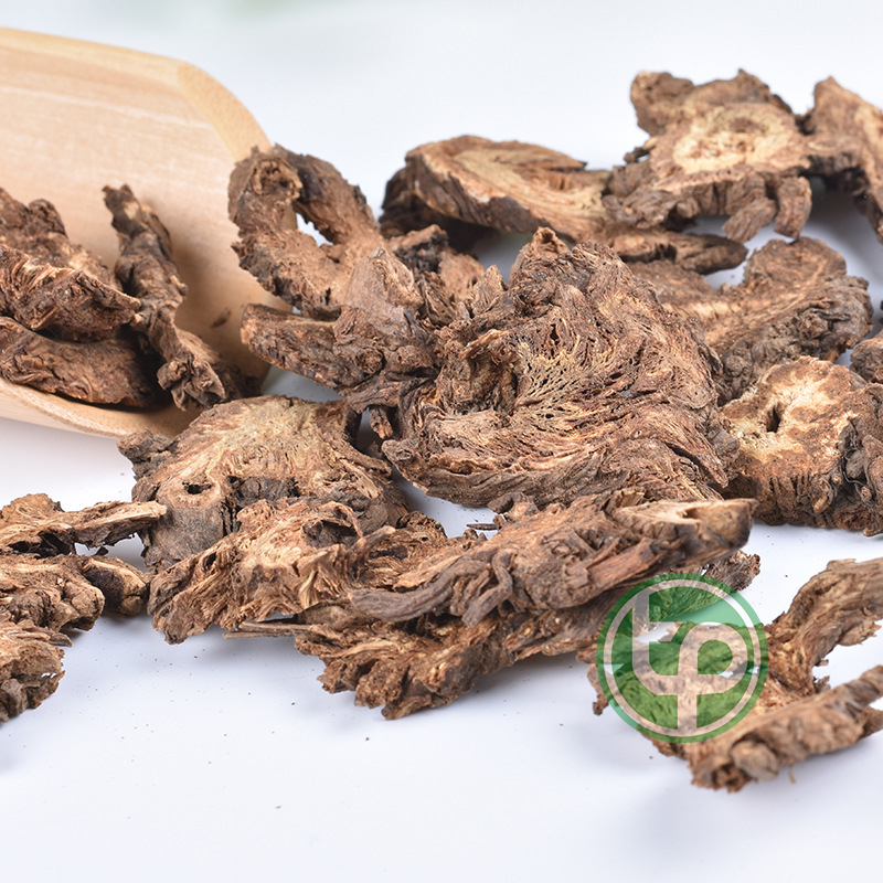 Khương hoạt khô 100g - tấn phát