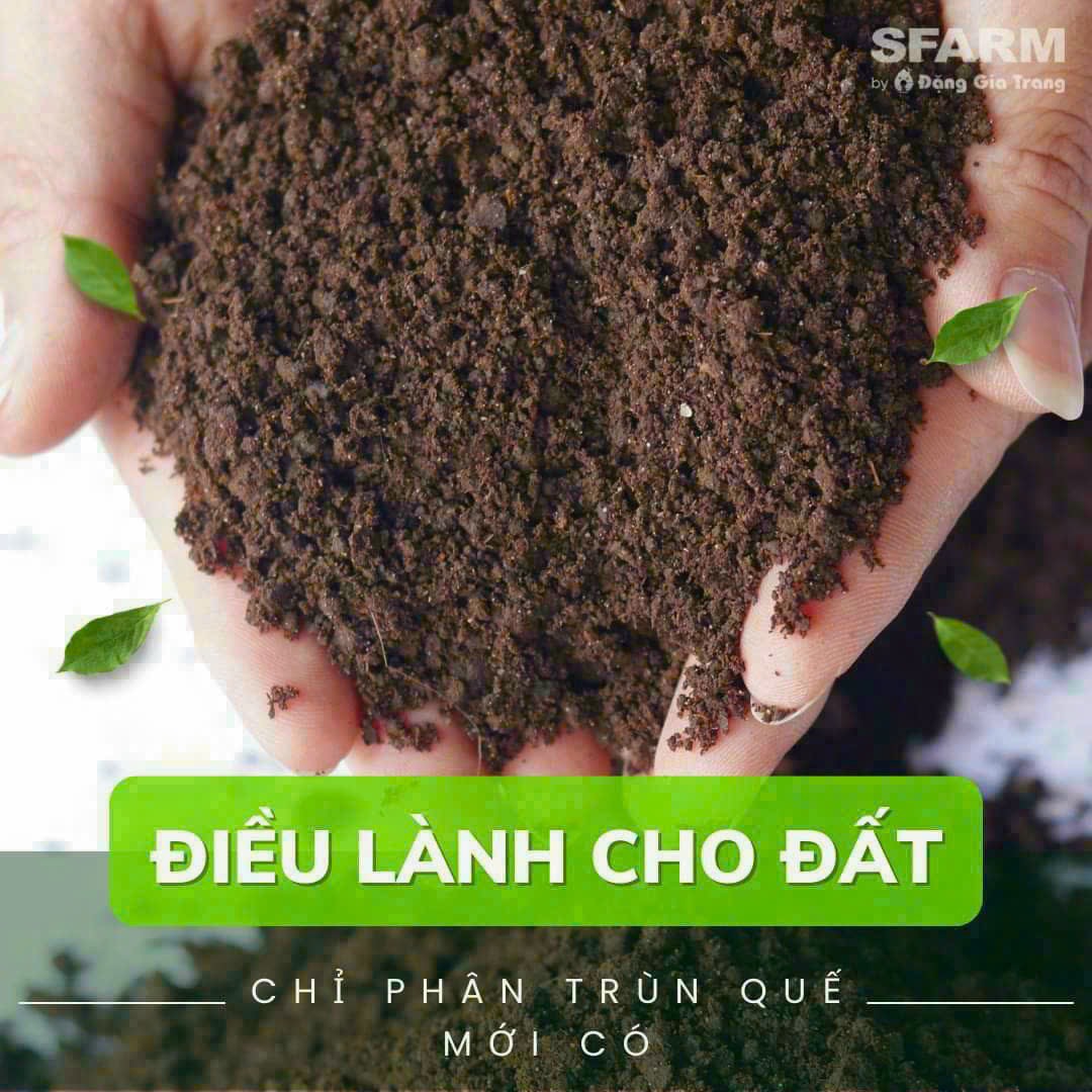 10kg Bag of Sfarm Dang Gia Trang Earthworm Compost Powder - Organic Fertilizer (Contains Cocoons - Earthworm Eggs) Has Been Dehumidified.