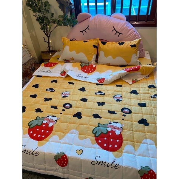Set chăn hè 5 món cotton poly kích thước 1m2