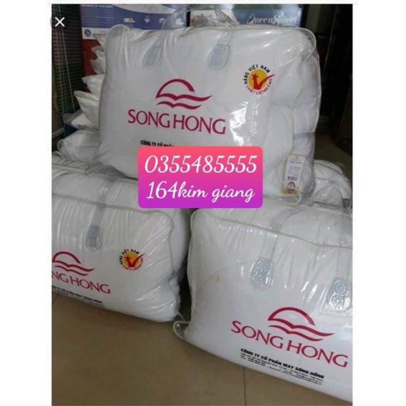 Ruột chăn đông ( chăn bông ) Sông Hồng 200x220cm mong