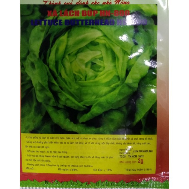 Hạt giống xà lách Búp - Gói 2 gram