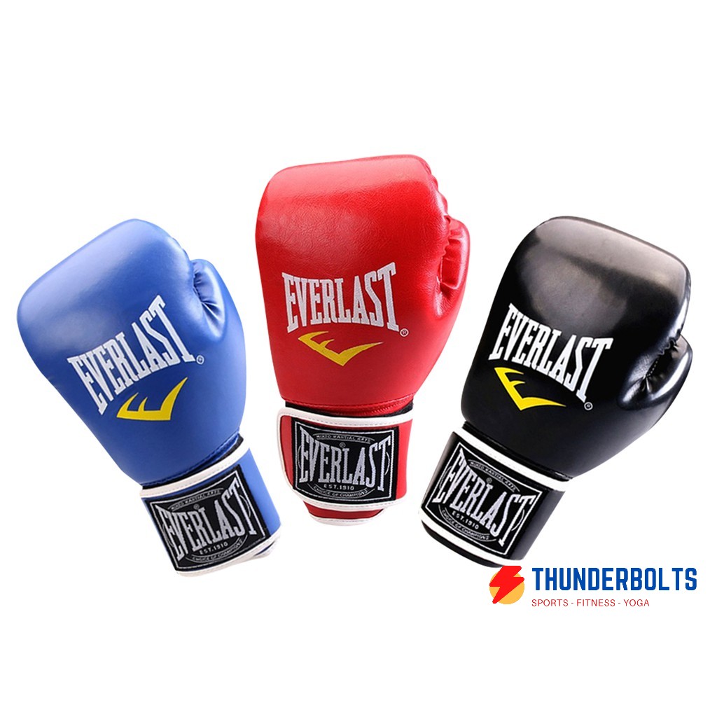 [HCM]Găng tay kick boxing Everlast EVL77