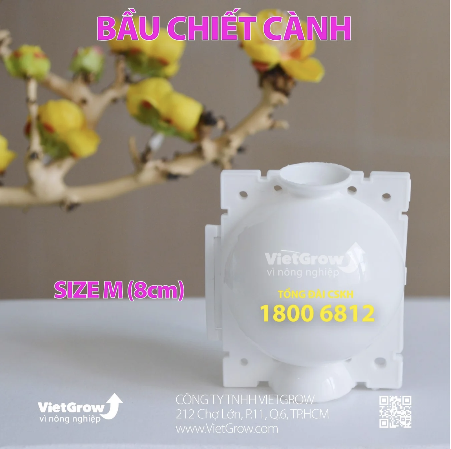 BẦU CHIẾT CÀNH