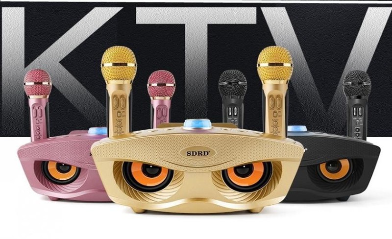 [SALE TẾT 50%] Loa Karaoke Bluetooth  Mắt Cú Tặng Kèm 2 Micro Không Dây -Loa SD 306 Công Suất Lớn Âm Thanh Chuẩn-Hỗ Trợ Cổng Cắm Thẻ Nhớ Jack 3.5mm Bảo Hành 1 Đổi1