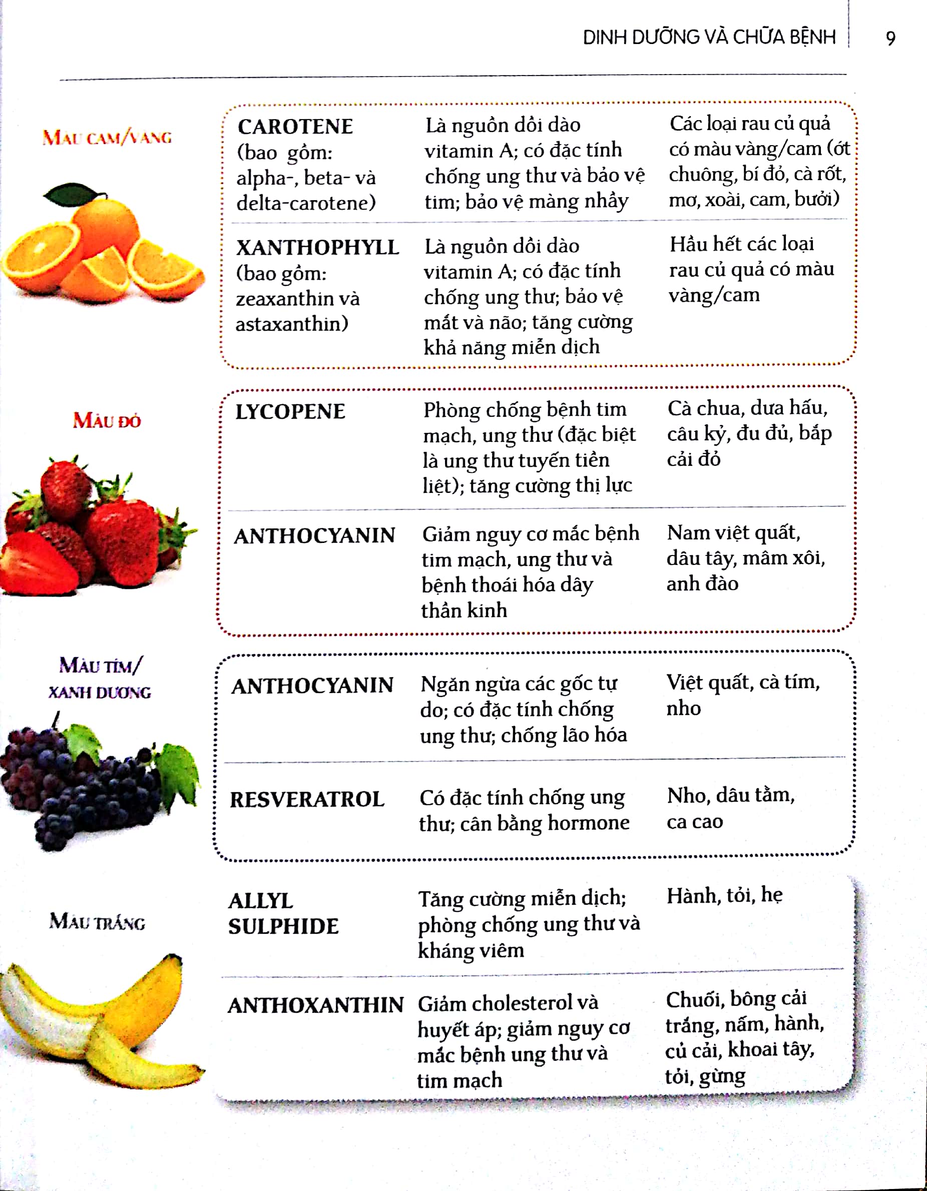 Sách - Dinh Dưỡng Chữa Bệnh - Trái Cây