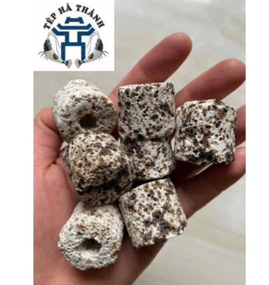 [Hoàn Tiền 10%] Vật Liệu Lọc Sứ Trụ Muối Tiêu