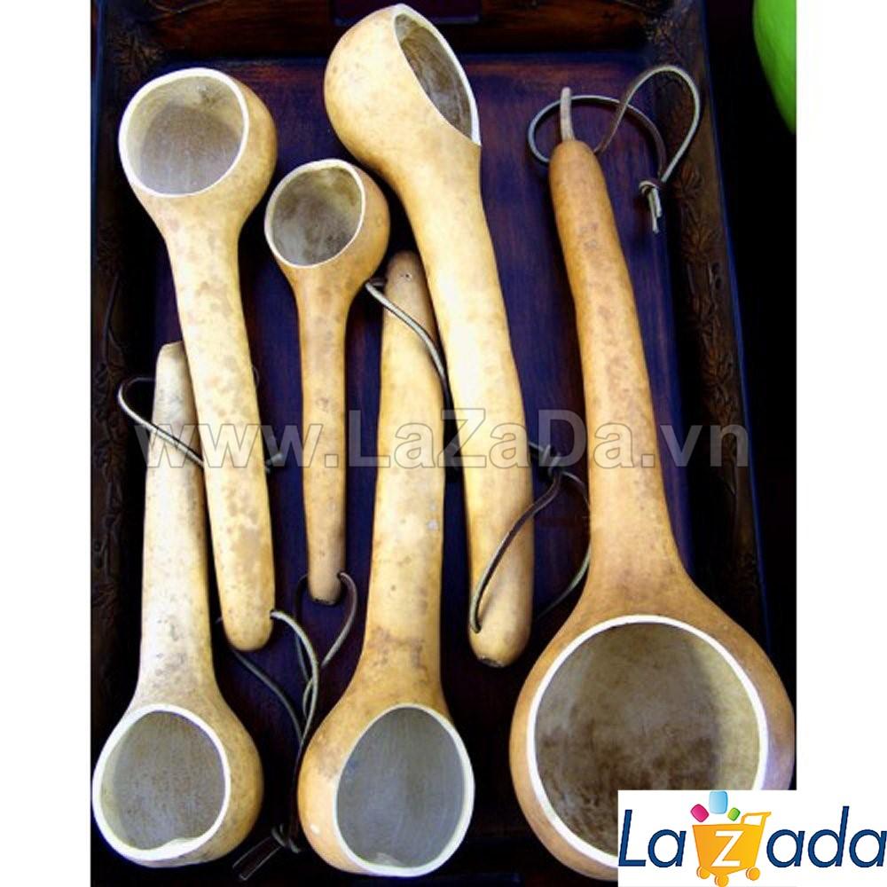 5h Hạt Giống Bầu Gáo Dừa (A1.303| C38*W44*M165)