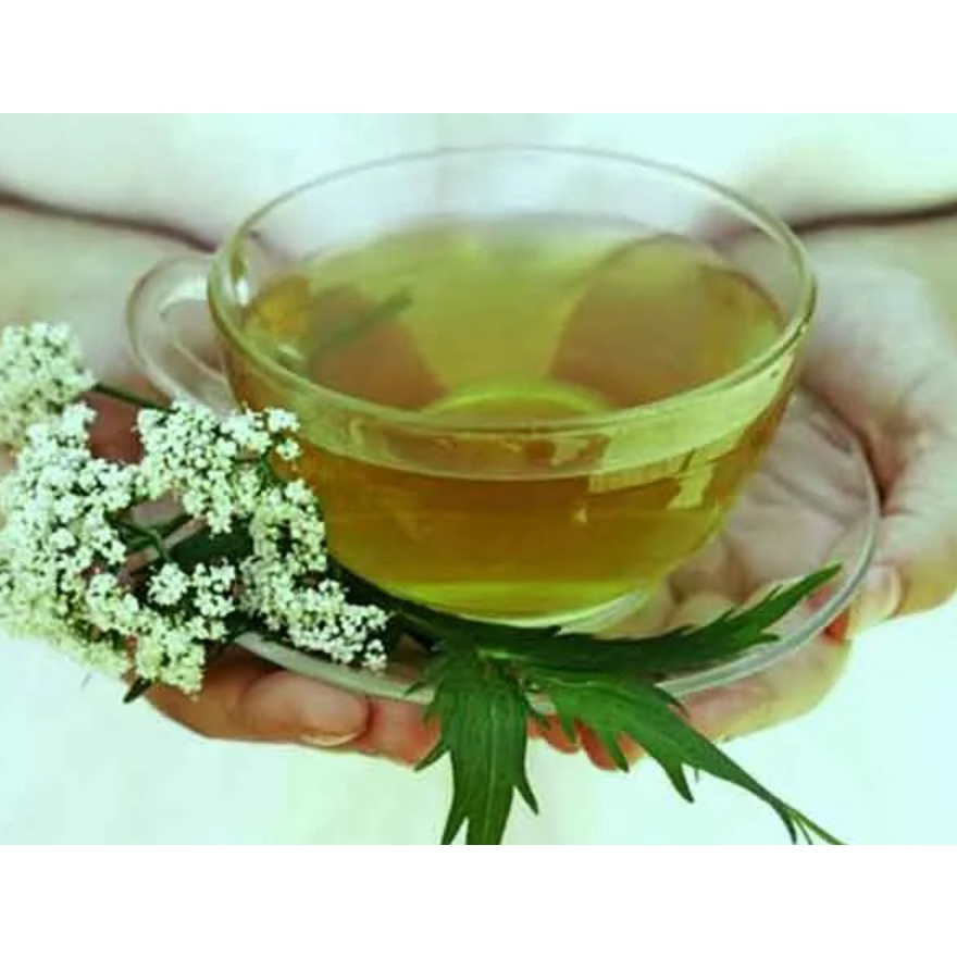 Cây ngải dại khô, phơi tay thơm ngon