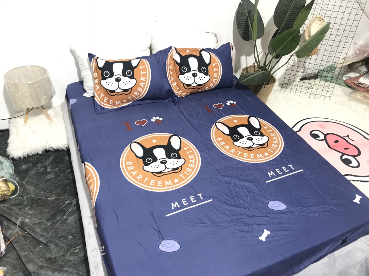 Bộ Ga Gối 3 Món ( Gồm 1 Ga Bo Chun + 2 Vỏ Gối) Mã CH209